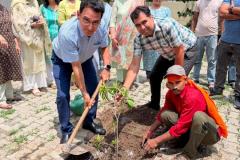 Tree Plantation on 29.7.26