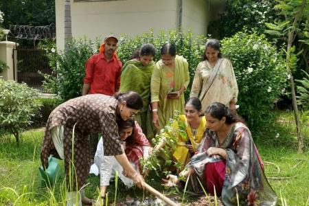 Tree-Plantation-on-29.7.26-13