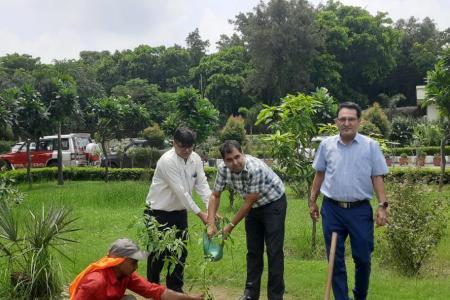 Tree-Plantation-on-29.7.26-7