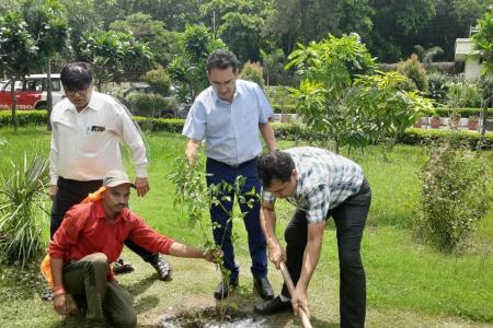 Tree-Plantation-on-29.7.26-8