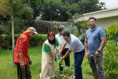 Tree-Plantation-on-29.7.26-9
