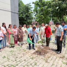 Tree Plantation on 29.7.26 (4)