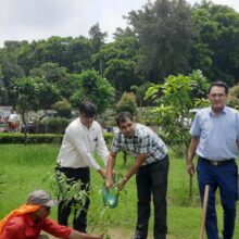 Tree Plantation on 29.7.26 (7)